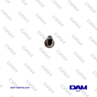 VOLVO ENGINE SUPPORT SCREW