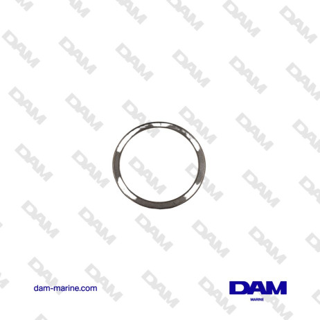 ARANDELA DE BASE DE PIVOTE VOLVO - 3841141