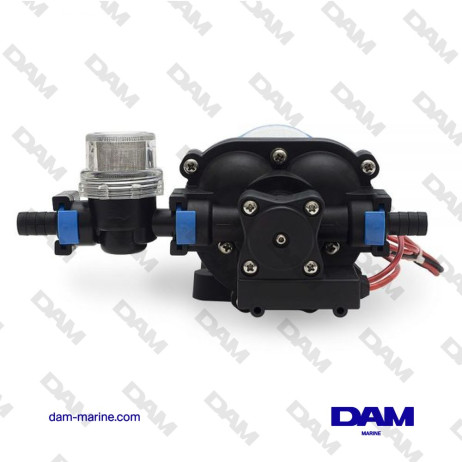 POMPE DE LAVAGE WD300 12V - 12.9L - 5BAR
