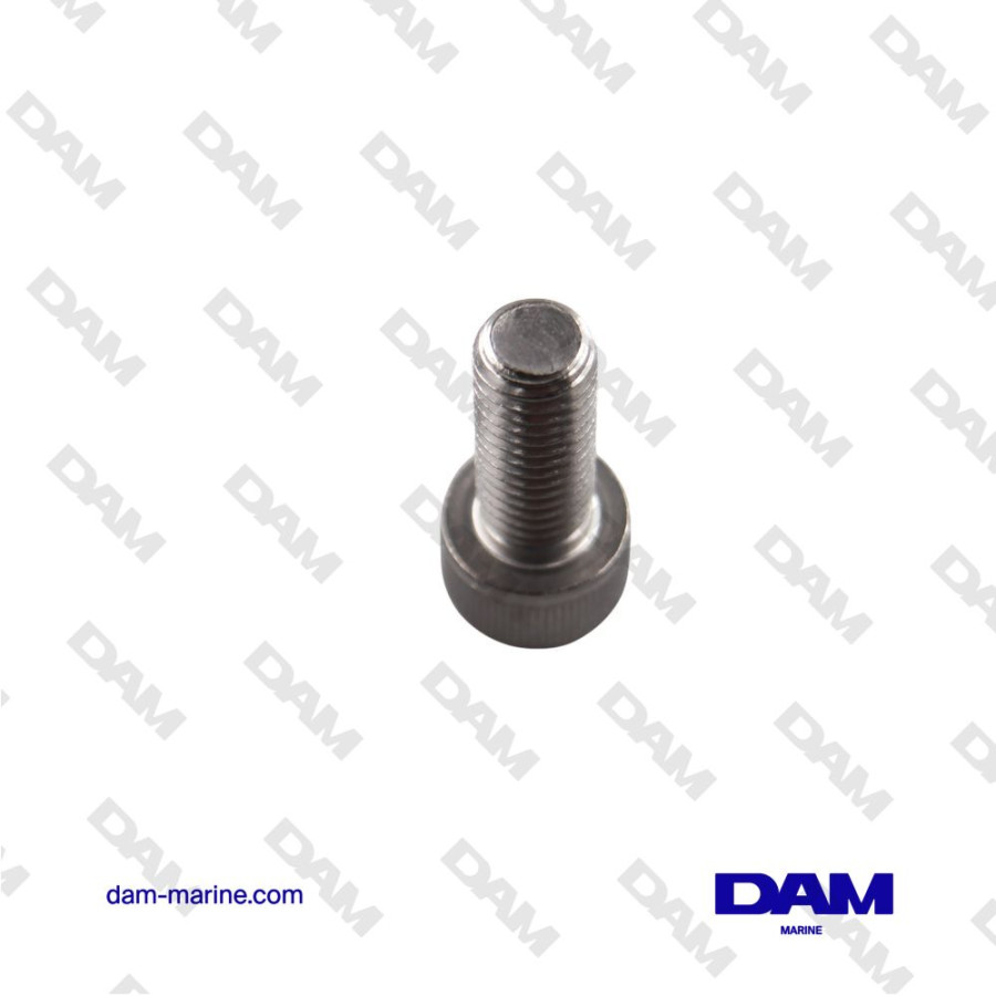 YANMAR BTR M10X25 SCREW