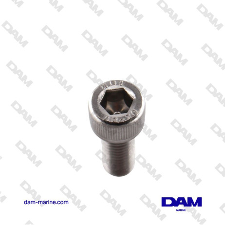 YANMAR BTR M10X25 SCREW