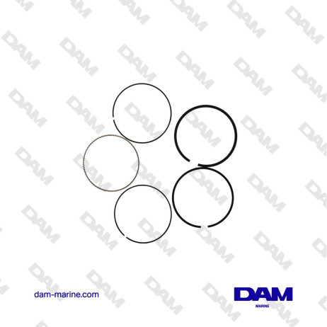 SEGMENTS GM364 V8 6L STD