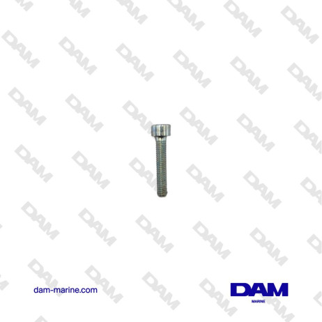 VIS YANMAR BTR M6X30 - 128990-44090