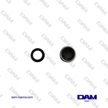 SHERWOOD WATER PUMP CYCLAM KIT