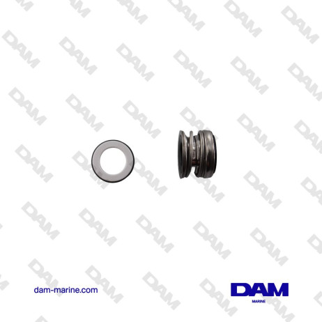 SHERWOOD WATER PUMP CYCLAM KIT