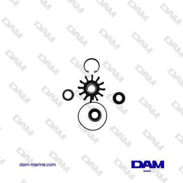 SHERWOOD MINER PUMP KIT