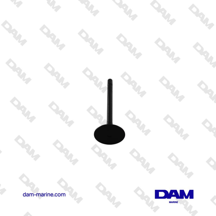 VALVOLA DI ASPIRAZIONE VOLVO MD2040 - D2-55 - 75