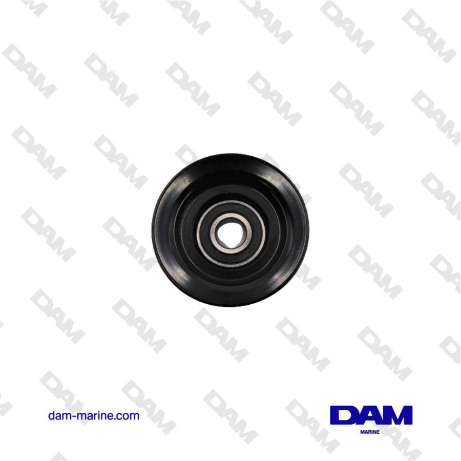 INDMAR FORD RAPTOR 575 PULLEY