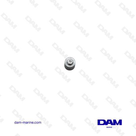 ANODE DE TETE MOTRICE YAMAHA - 6AW-1132R-00
