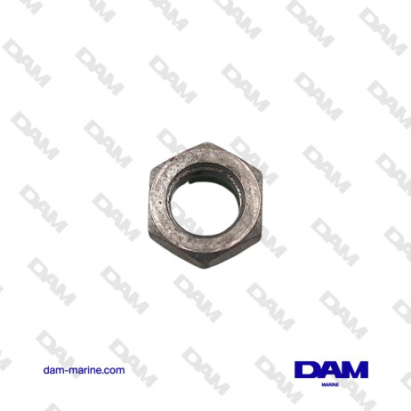 BRP OMC NUT 0315077*