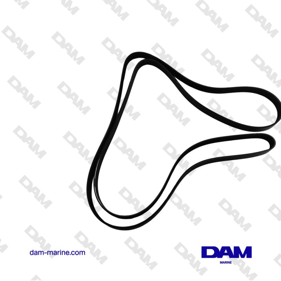 INDMAR RAPTOR 6.2L SERPENTINE BELT AFTER 2016 - 575HP - 230AMP