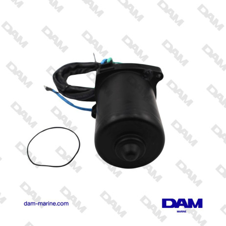 MOTORE YAMAHA F350 2007-2019