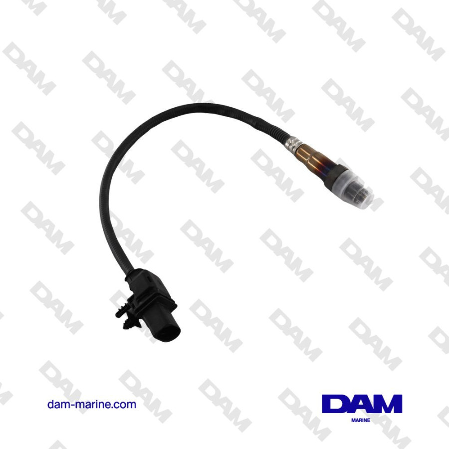 CATALYTIC OXYGEN PROBE