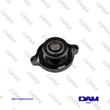 YANMAR SCAMBIATORE YANMAR 129673-44131