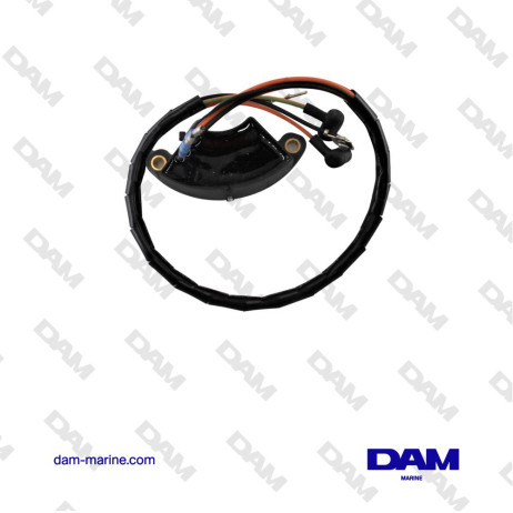 MÓDULO DE ENCENDIDO BRP OMC - 0584488