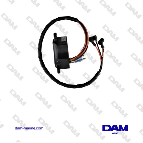 MODULO DI ACCENSIONE BRP OMC - 0584488