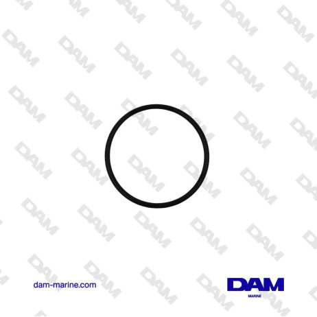 HONDA FUEL O-RING