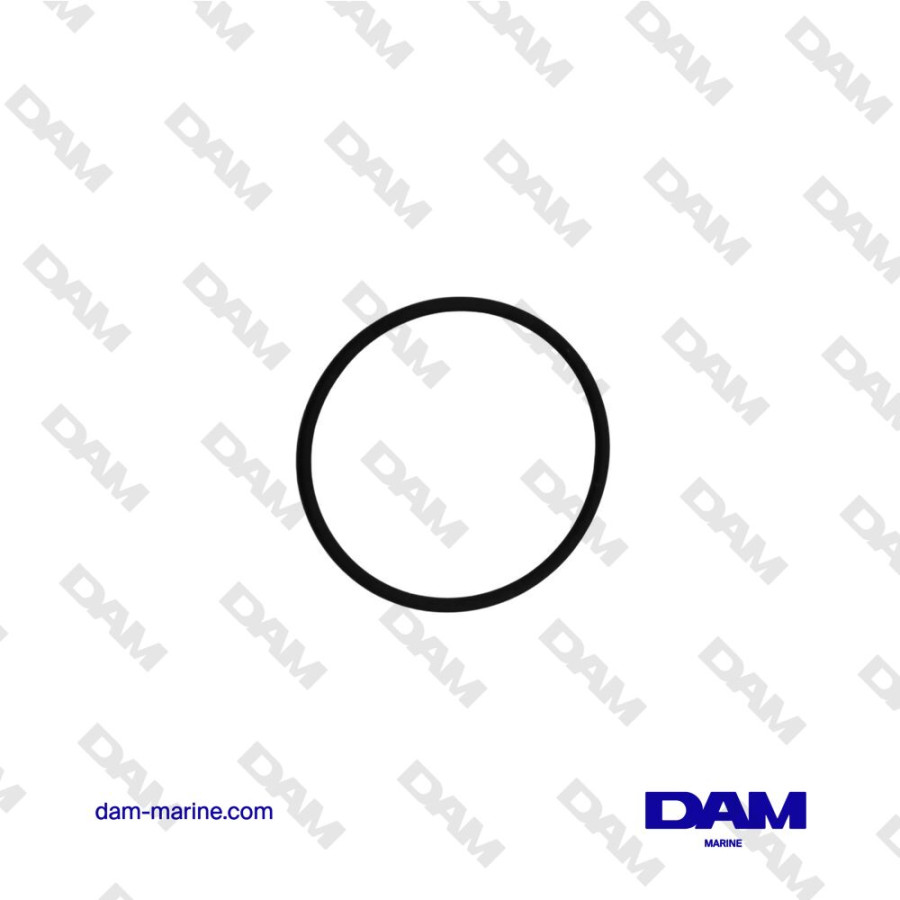 YAMAHA FUEL O-RING - 6P3-24564-00