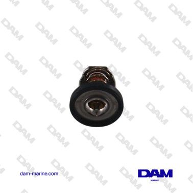 TERMOSTATO SUZUKI 17670-94J02