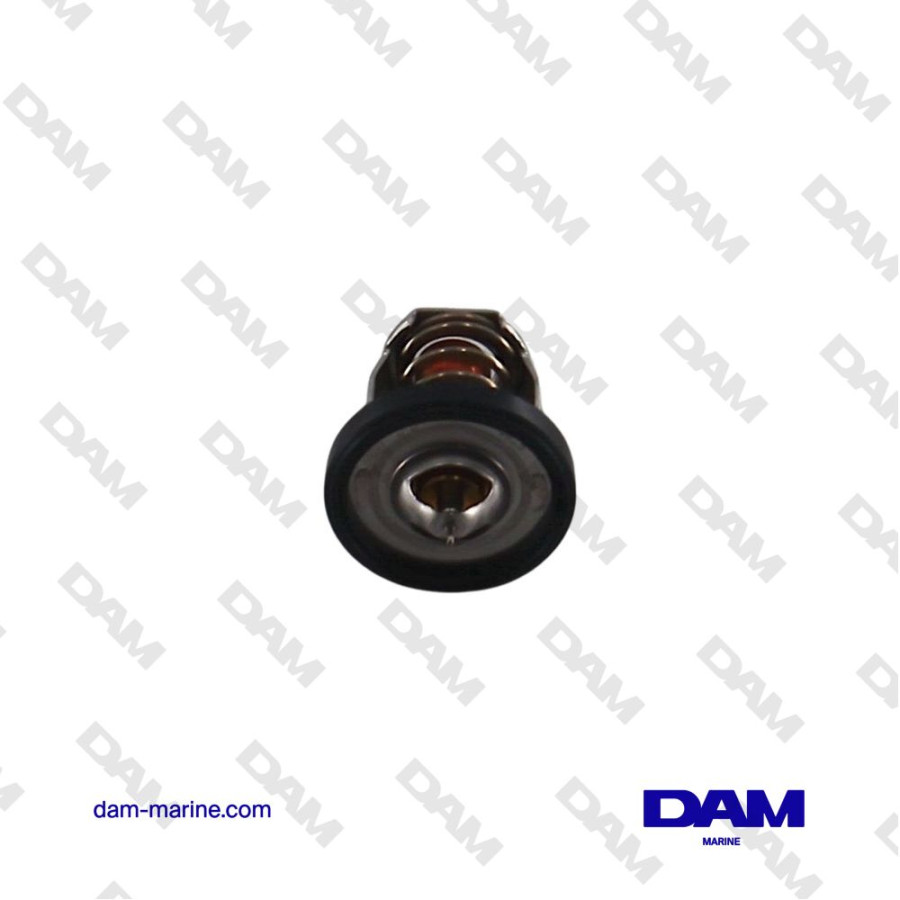 TERMOSTATO SUZUKI 17670-94J02