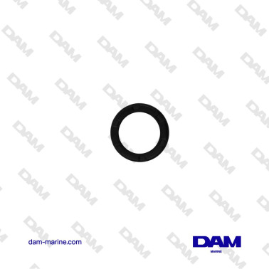 JOINT DE THERMOSTAT BRP -...