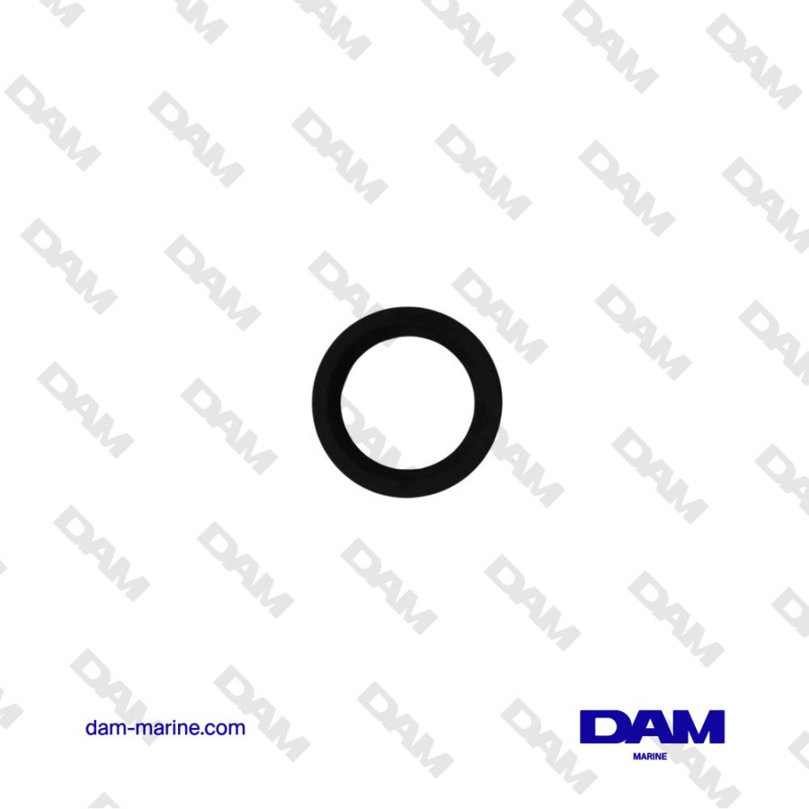 JOINT DE THERMOSTAT BRP - 0334742*