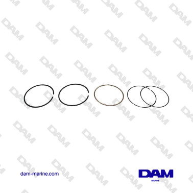 SEGMENTS GM325 V8 5.3L H5 -...