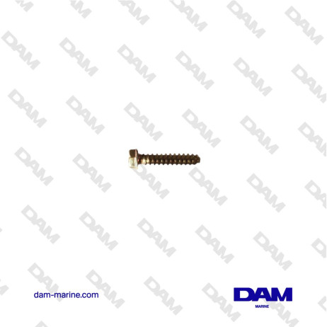 MERCRUISER SCREW 10-15001