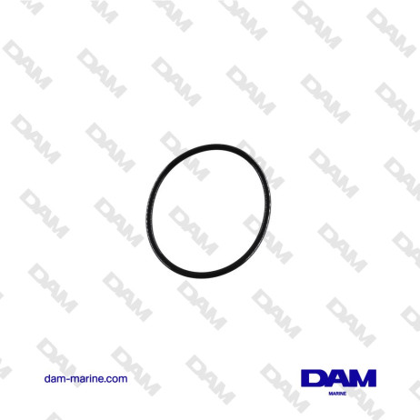 ANILLO TÓRICO DEL FILTRO SUZUKI - 15415-93J10