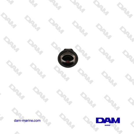 THERMOSTAT FISCHER PANDA - 0001141*