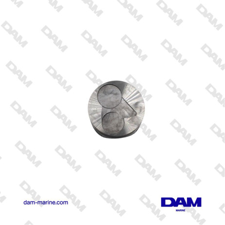PISTONE FISCHER PANDA STD - 0015754*