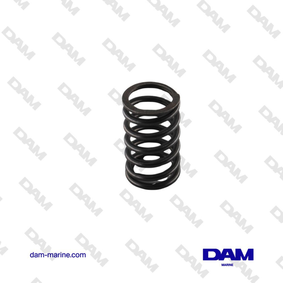 VOLVO VALVE SPRING - 22