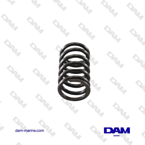 VOLVO VALVE SPRING - 22