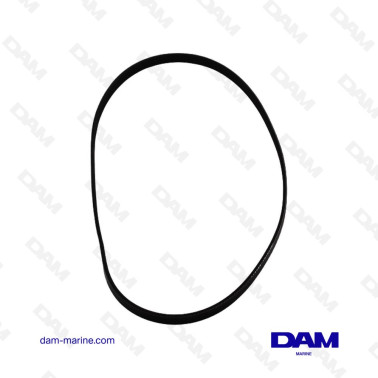 CINGHIA SERPENTINA OEM YANMAR