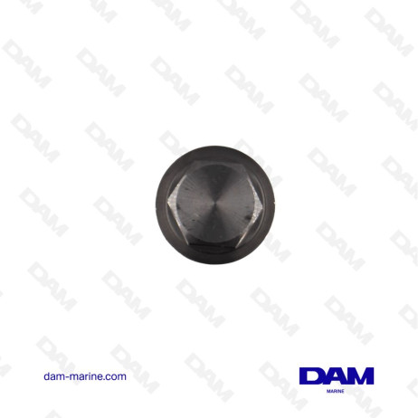 YANMAR ANODE HOLDER PLUG