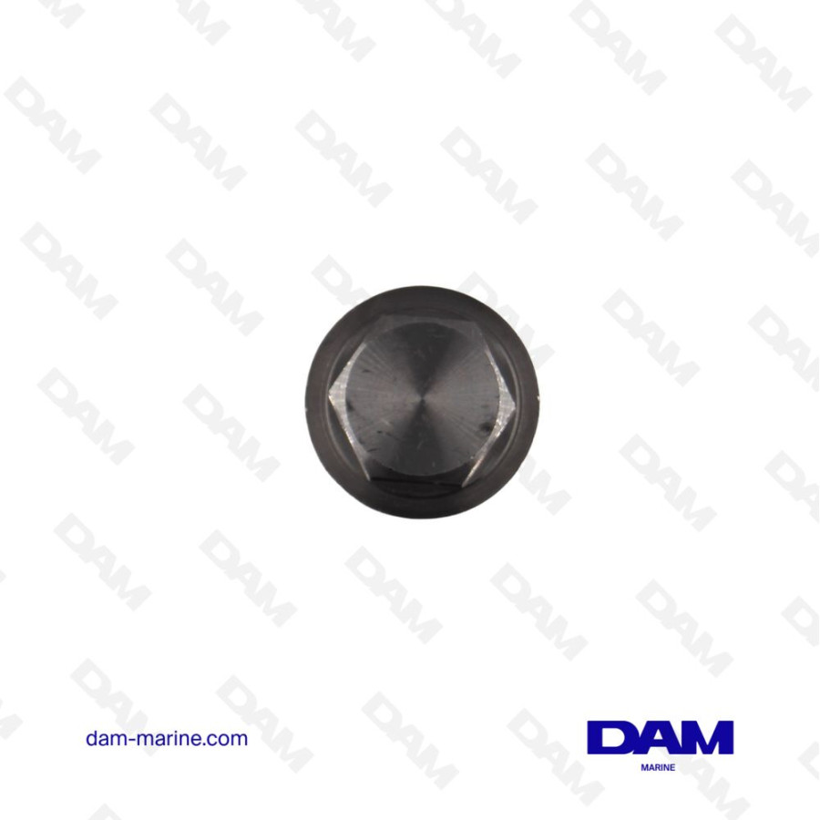 BOUCHON PORTE ANODE YANMAR