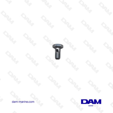 YANMAR M10X1.5 BANJO FITTING