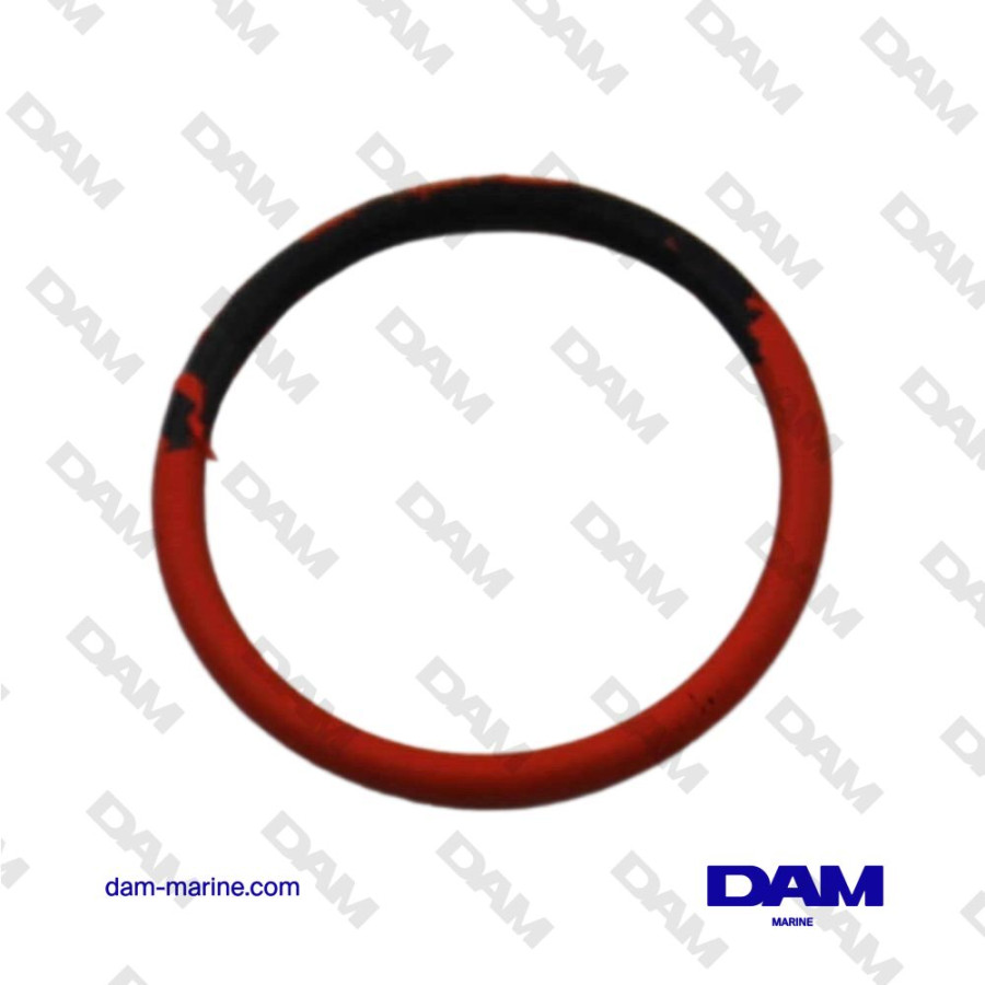 O-RING MERCURIO - 25-62705001