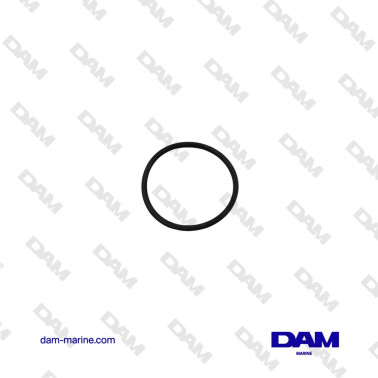 HONDA FUEL FILTER O-RING...