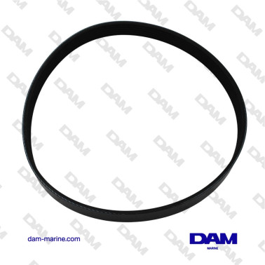 CORREA SERPENTINA DEL...