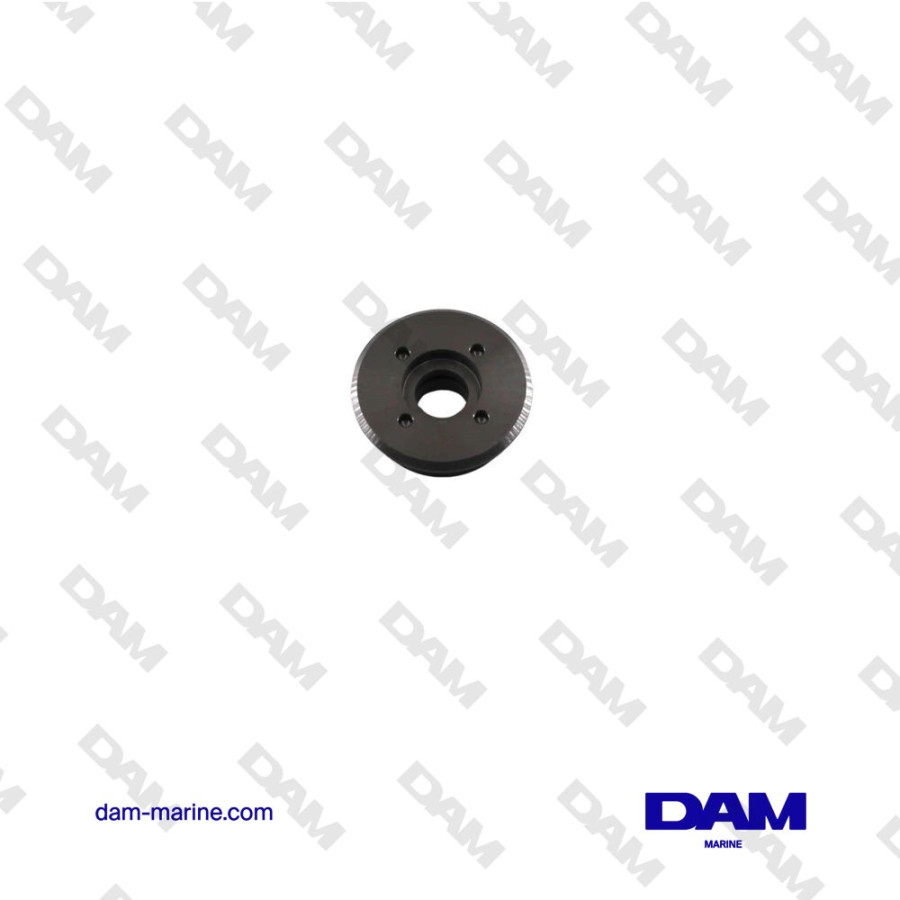 YAMAHA TRIM CYLINDER CAP - 6G5-43821-01