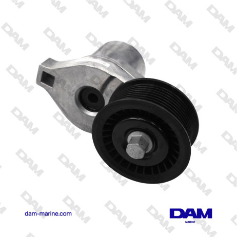 PCM TENSIONER PULLEY