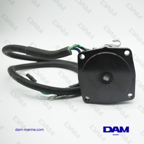 MOTORE TRIM SUZUKI DT40 A 2 FILI