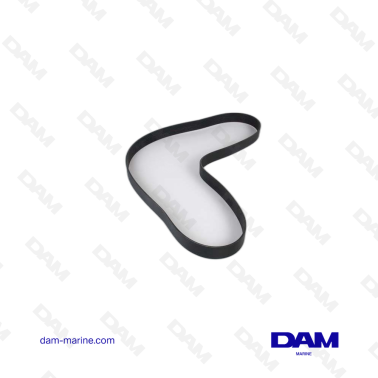 CINGHIA DI DISTRIBUZIONE VOLVO