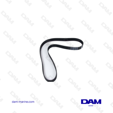 CINGHIA DI DISTRIBUZIONE VOLVO