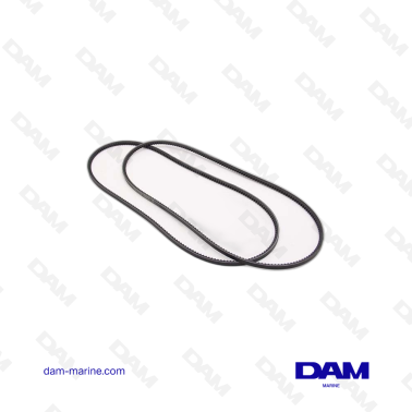 CONJUNTO DE CORREA...