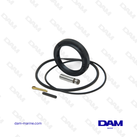 KIT DE JOINTS HAUT EMBASE VOLVO