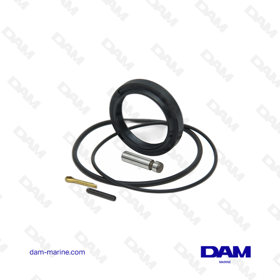 KIT DE JOINTS HAUT EMBASE VOLVO