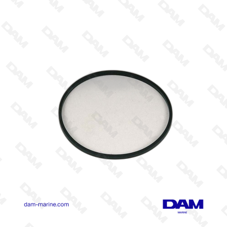 VOLVO SEALING RING