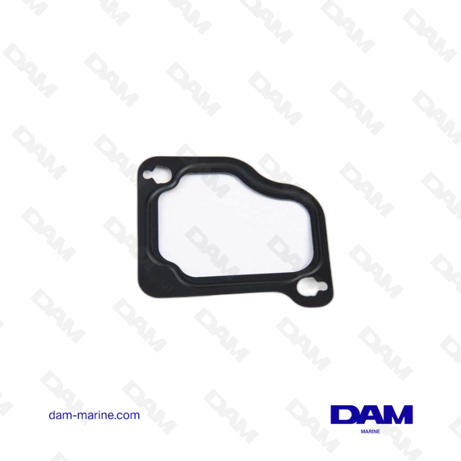 VOLVO INTAKE SEAL